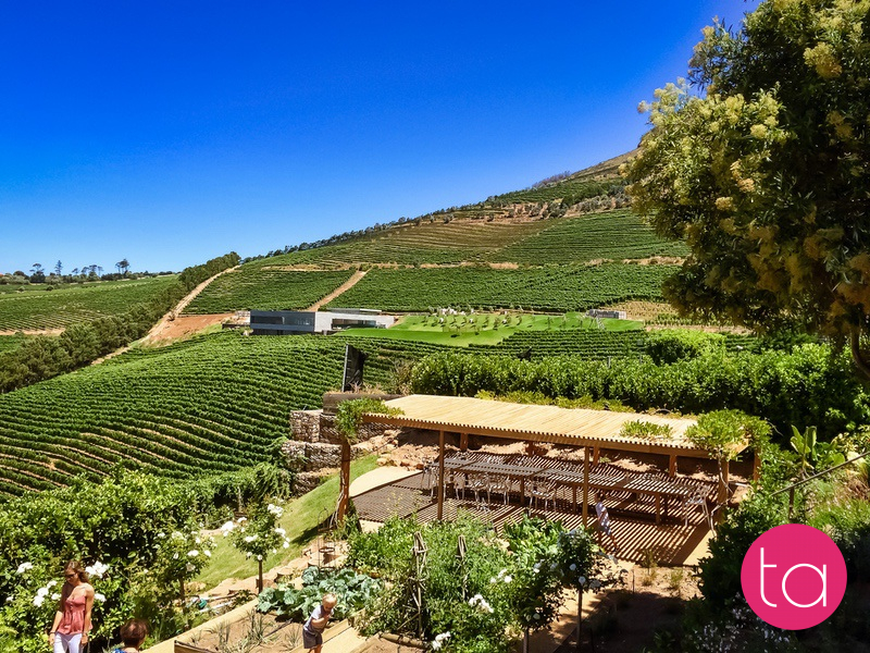 Stellenbosch Wineries in South Africa