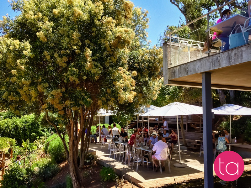 Stellenbosch Wineries in South Africa