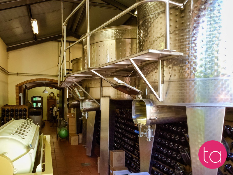 Stellenbosch Wineries in South Africa