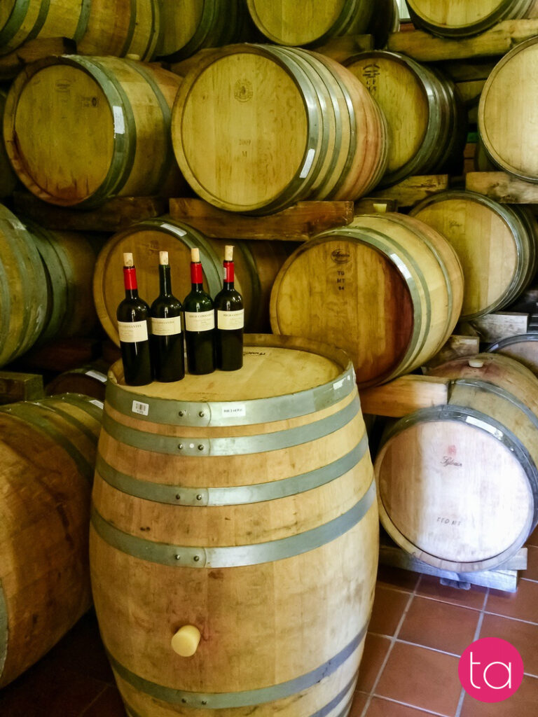 Stellenbosch Wineries in South Africa
