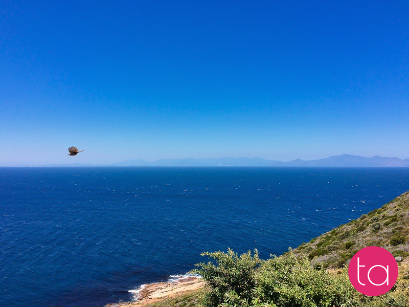 Cape Of Good Hope, On The Atlantic Coast Of The Cape Peninsula In South Africa