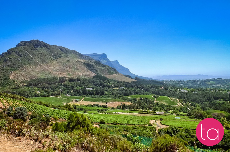 Stellenbosch Wineries in South Africa