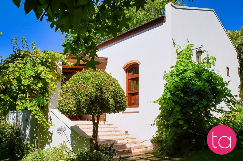 Stellenbosch Wineries in South Africa