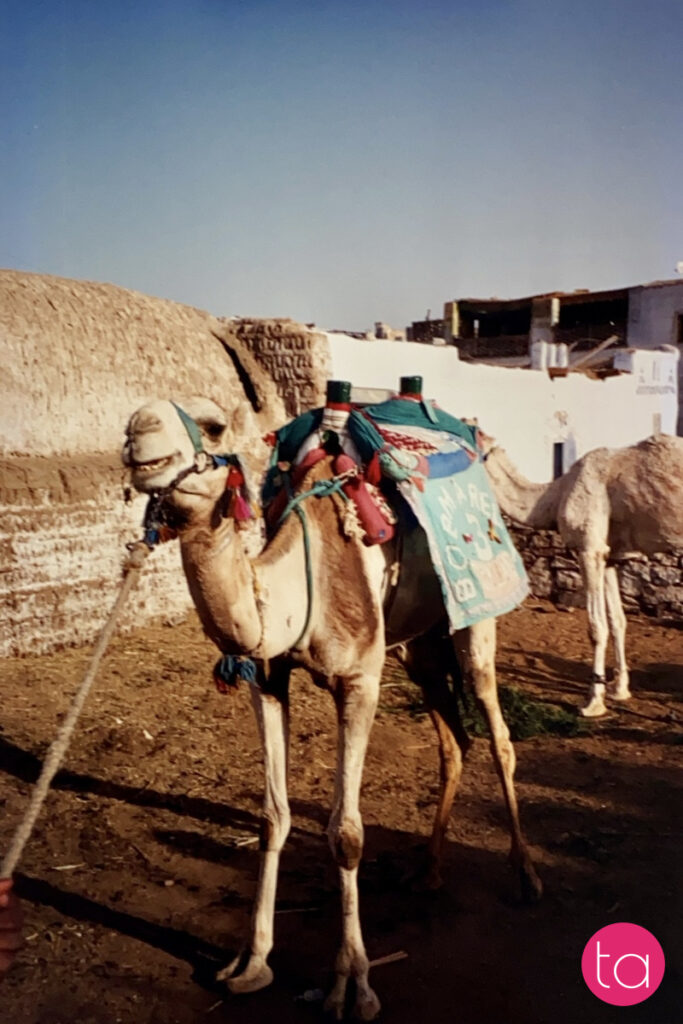 Giza