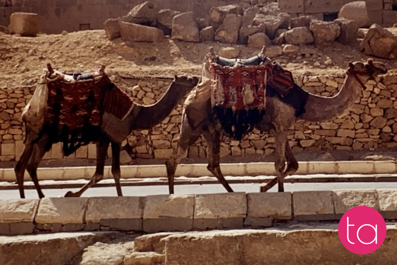 Giza