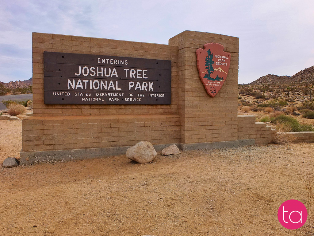 Going Wide in Joshua Tree National Park, USA