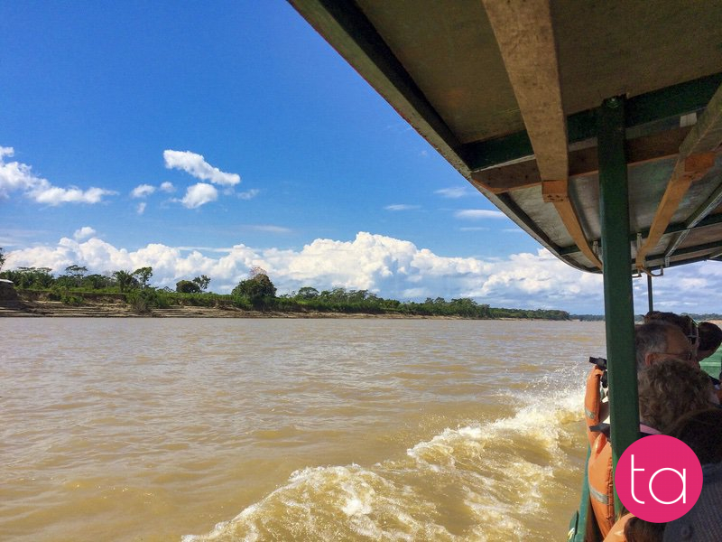 Amazon (Tambopata National Reserve), Peru