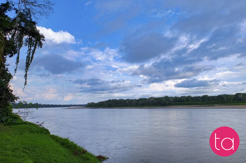 Amazon (Tambopata National Reserve), Peru
