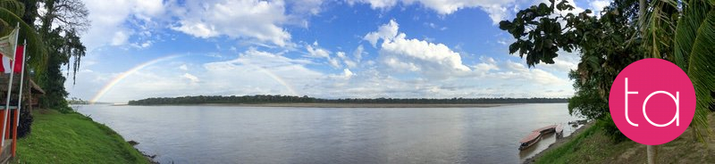 Amazon (Tambopata National Reserve), Peru