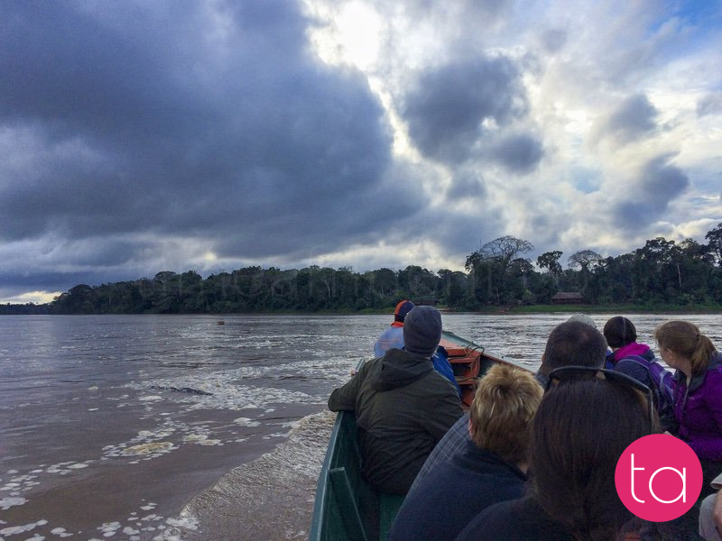 Amazon (Tambopata National Reserve), Peru
