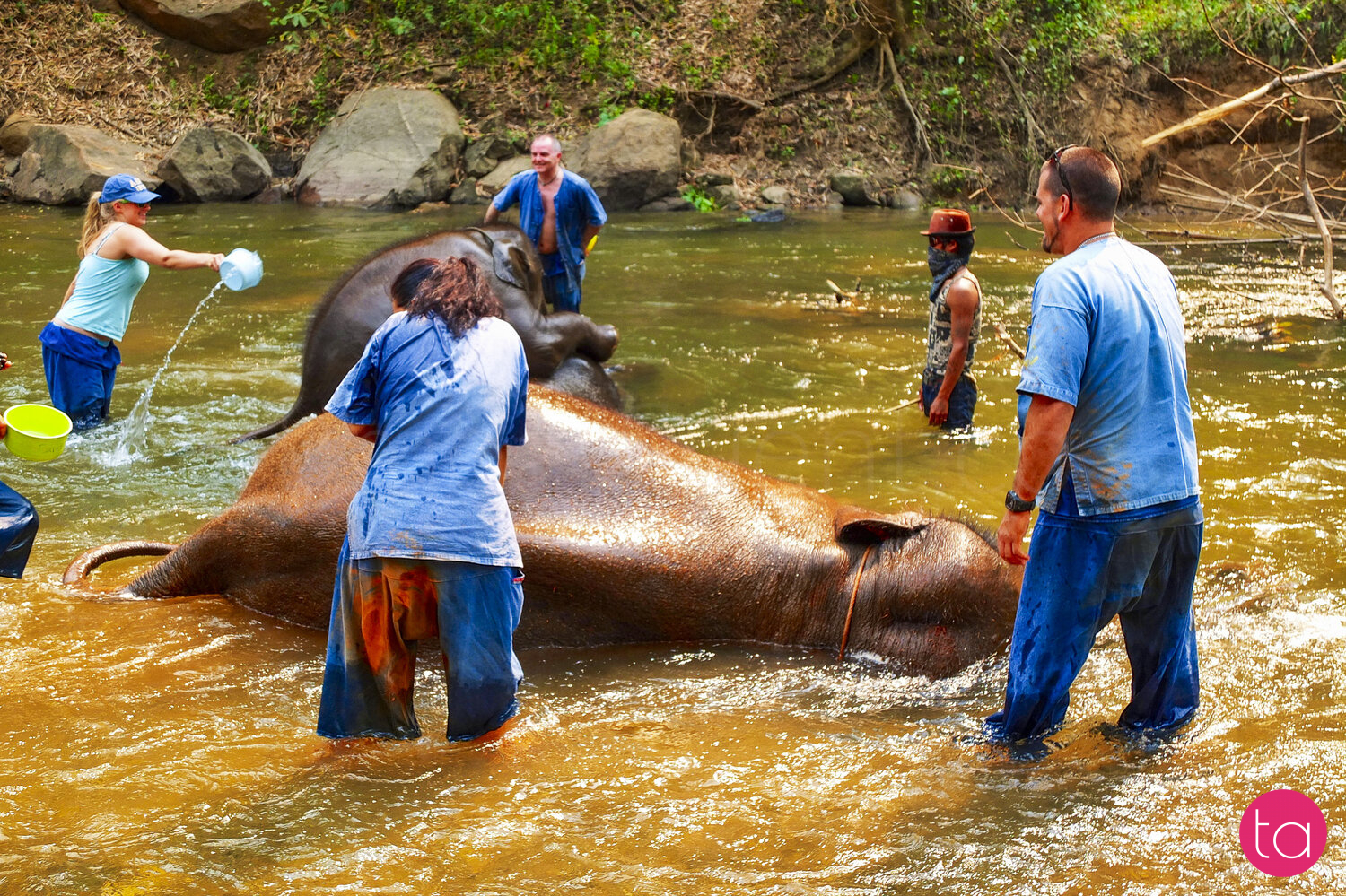 Bathing with Elephants in Thailand