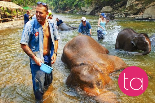 Bathing with Elephants in Thailand