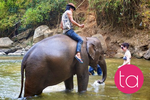 Bathing with Elephants in Thailand