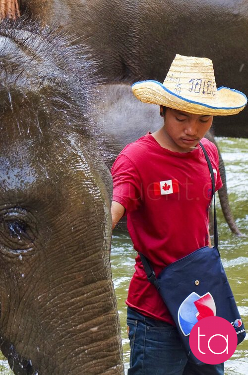 Bathing with Elephants in Thailand
