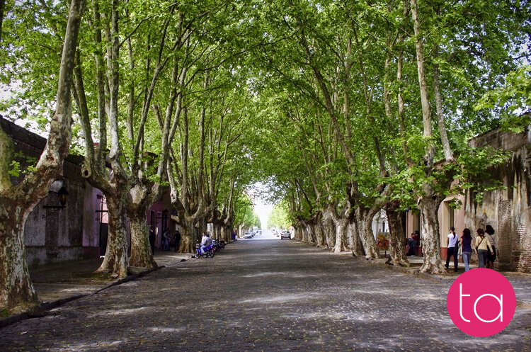 Uruguay: Historic Quarter of Colonia Del Sacramento