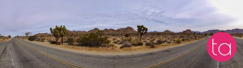 Going Wide in Joshua Tree National Park, USA
