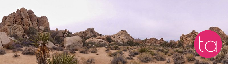 Going Wide in Joshua Tree National Park, USA