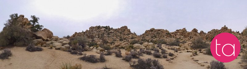Going Wide in Joshua Tree National Park, USA