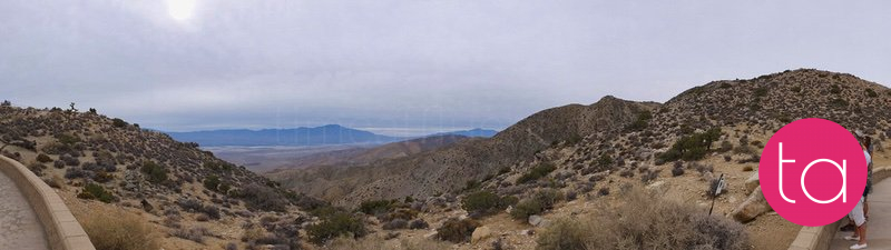 Going Wide in Joshua Tree National Park, USA