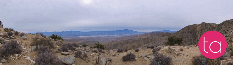 Going Wide in Joshua Tree National Park, USA