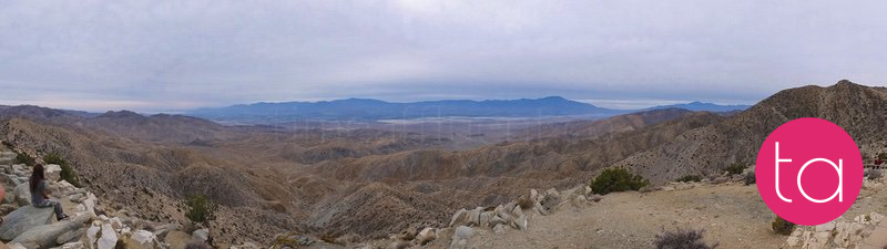 Going Wide in Joshua Tree National Park, USA
