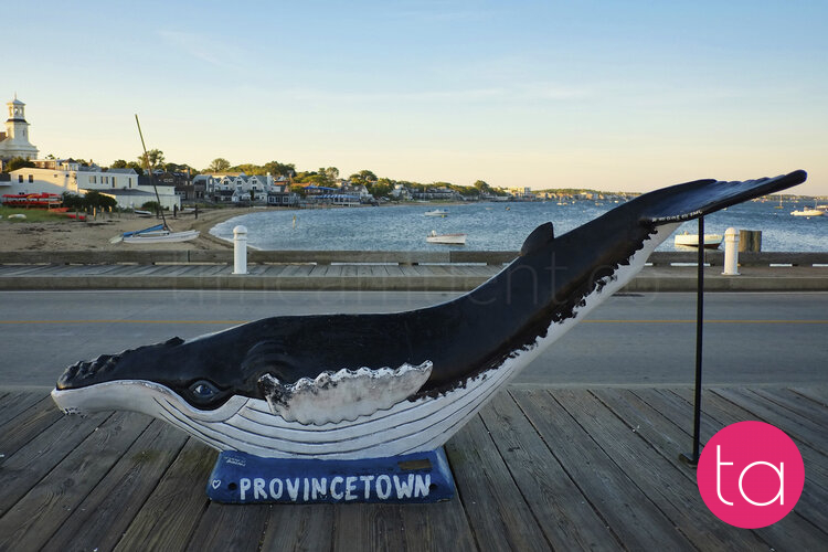 Summer in Provincetown, Massachusetts