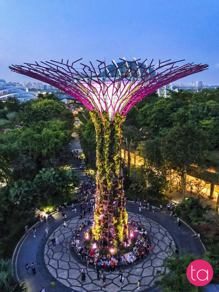 Singapore Gardens by the Bay Light Show