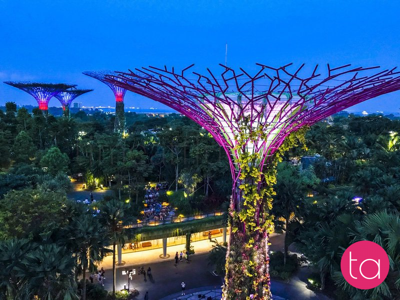 Singapore Gardens by the Bay Light Show