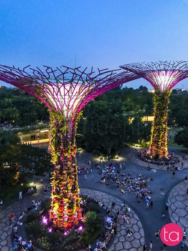 Singapore Gardens by the Bay Light Show