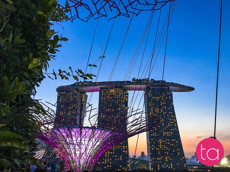 Singapore Gardens by the Bay Light Show