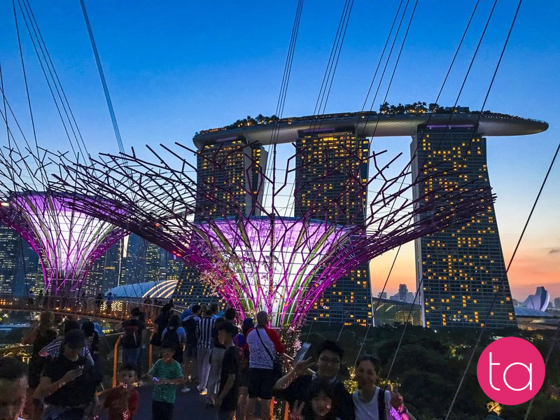 Singapore Gardens by the Bay Light Show