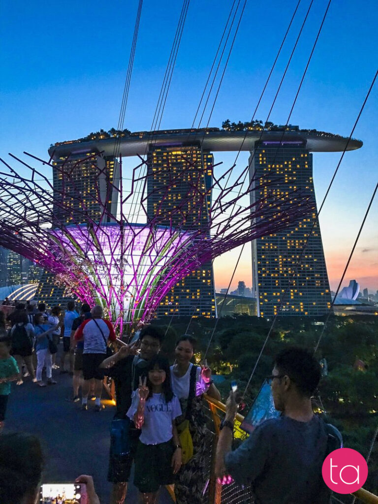 Singapore Gardens by the Bay Light Show