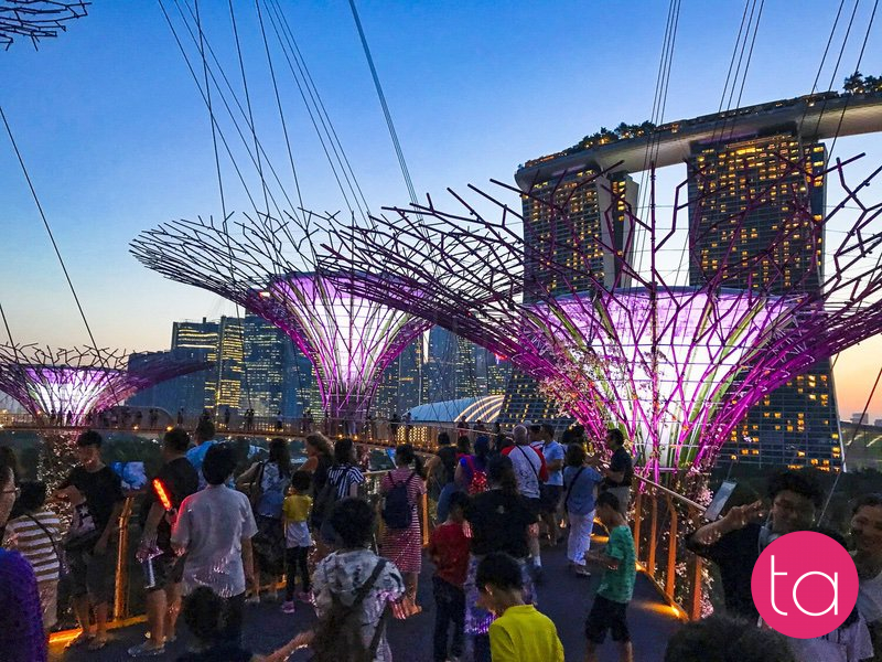Singapore Gardens by the Bay Light Show