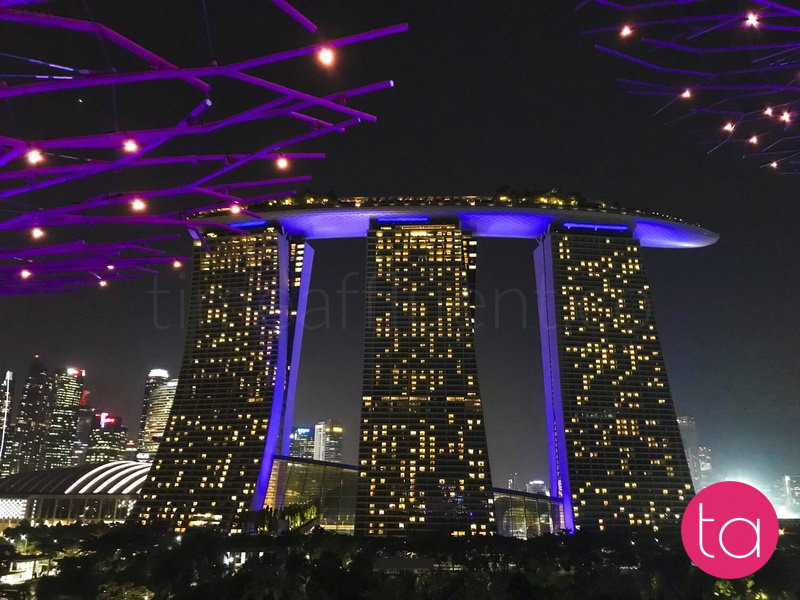 Singapore Gardens by the Bay Light Show