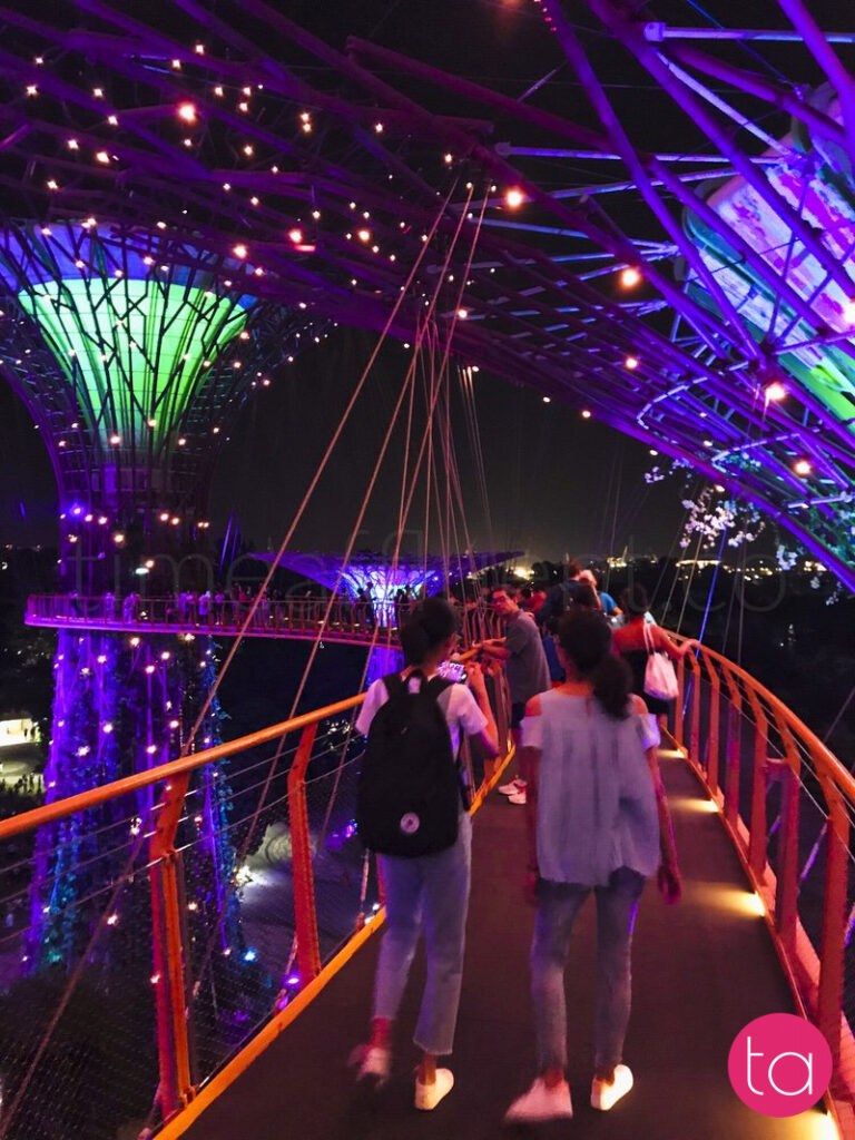 Singapore Gardens by the Bay Light Show