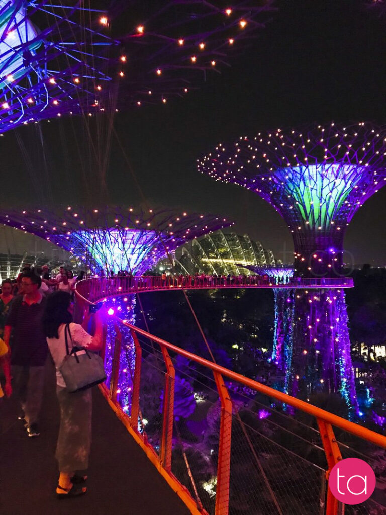 Singapore Gardens by the Bay Light Show