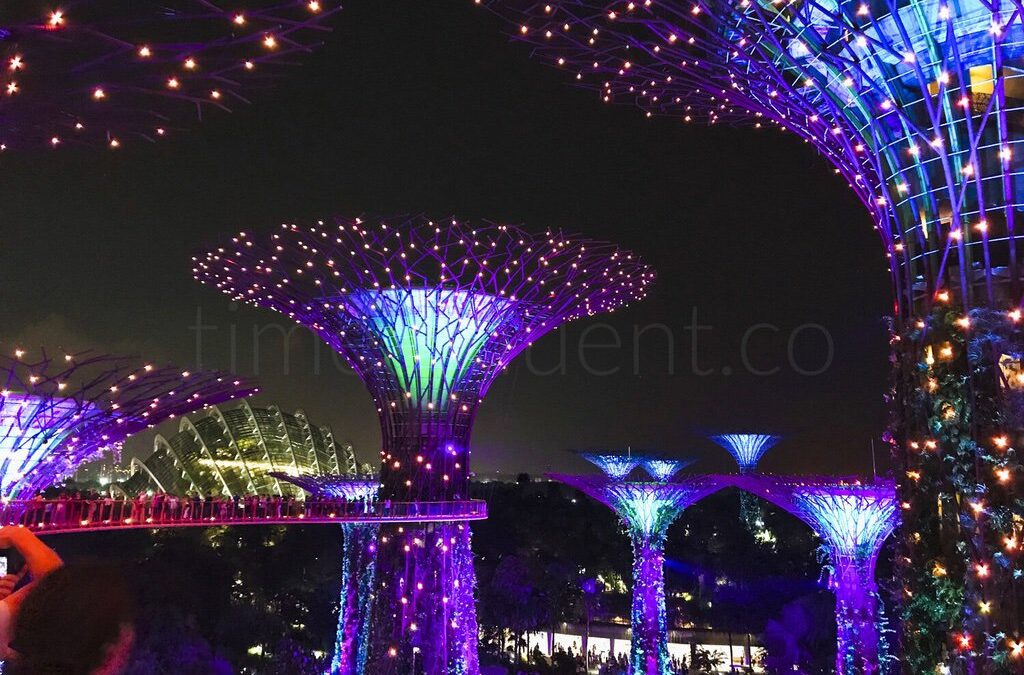 Singapore Gardens by the Bay Light Show