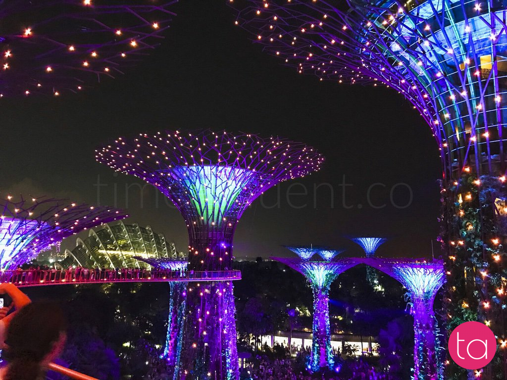 Singapore Gardens by the Bay Light Show