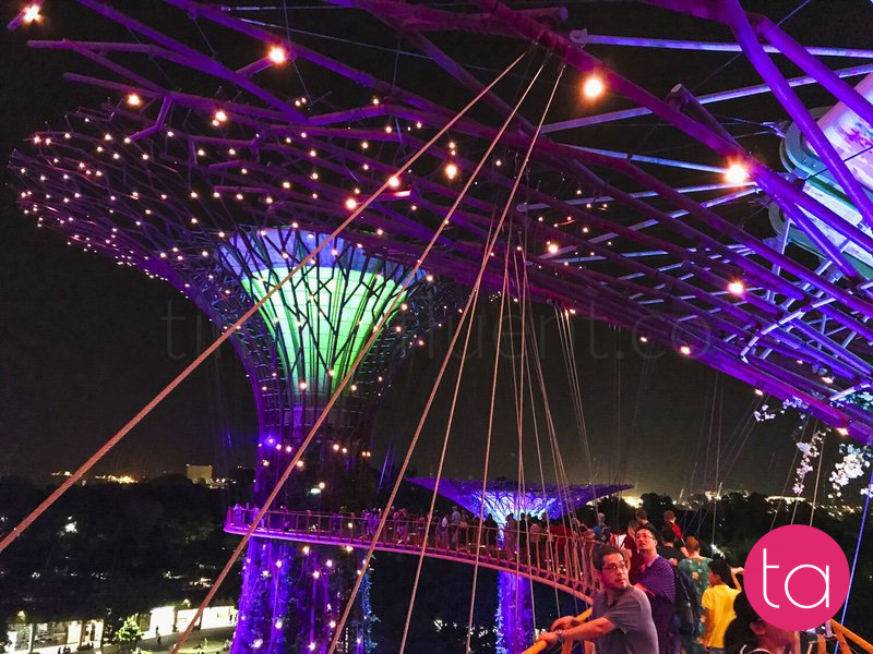 Singapore Gardens by the Bay Light Show