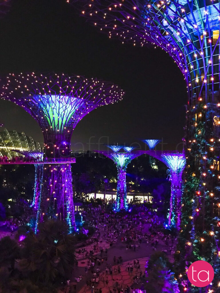 Singapore Gardens by the Bay Light Show