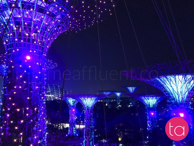 Singapore Gardens by the Bay Light Show