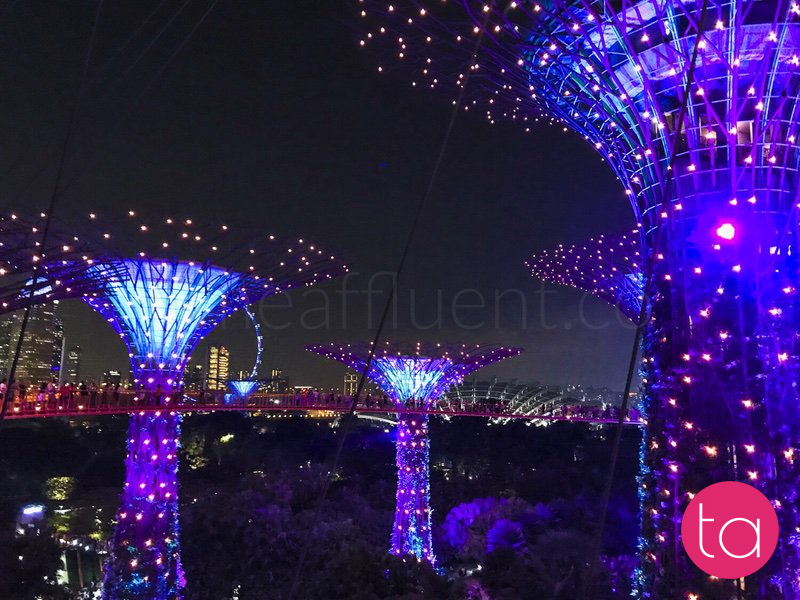 Singapore Gardens by the Bay Light Show