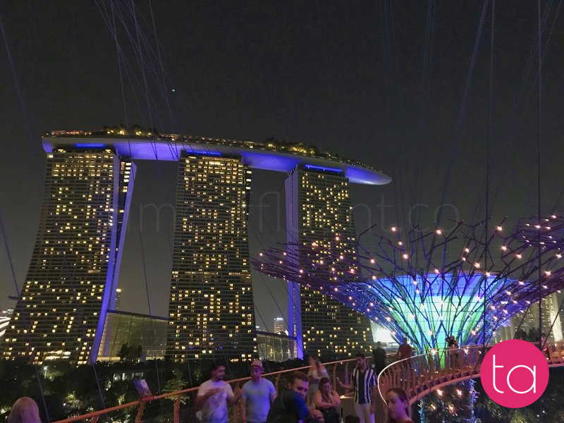 Singapore Gardens by the Bay Light Show