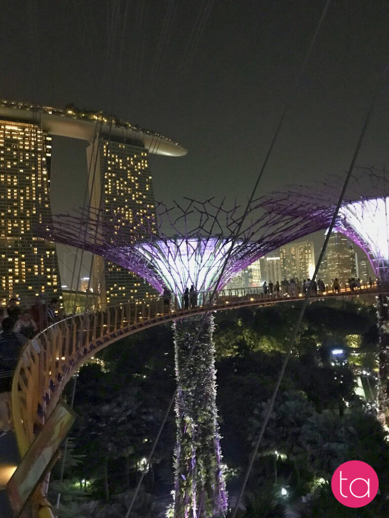 Singapore Gardens by the Bay Light Show