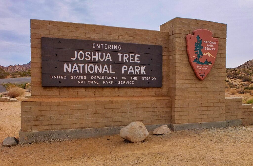 A Day Trip to Joshua Tree National Park
