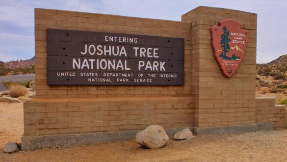 A Day Trip to Joshua Tree National Park