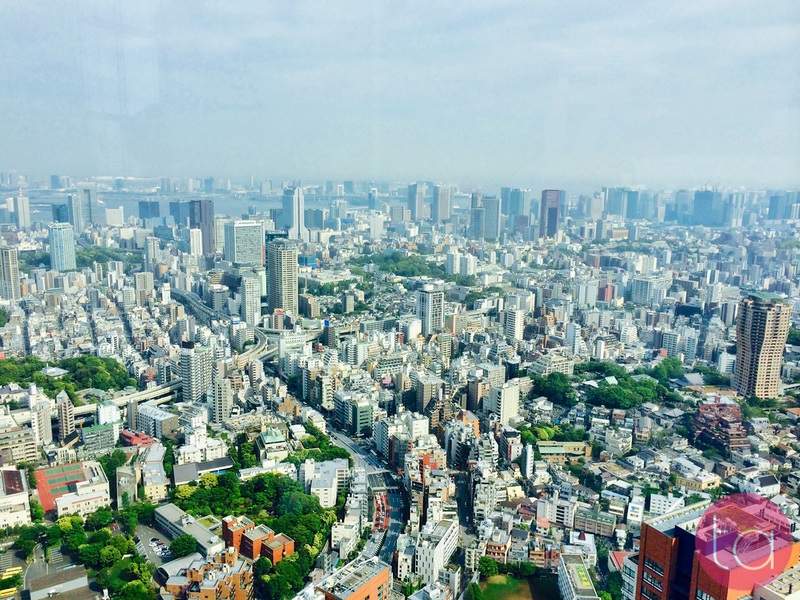 Visiting Mori Tower