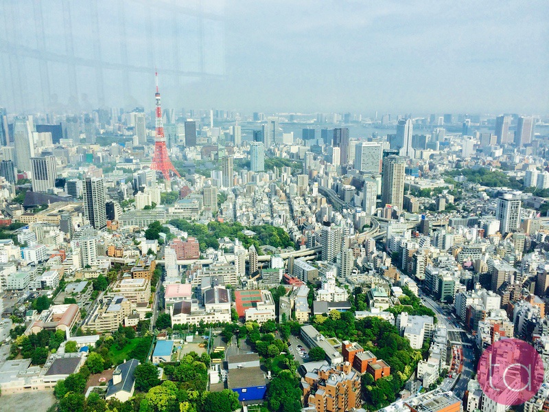 Visiting Mori Tower