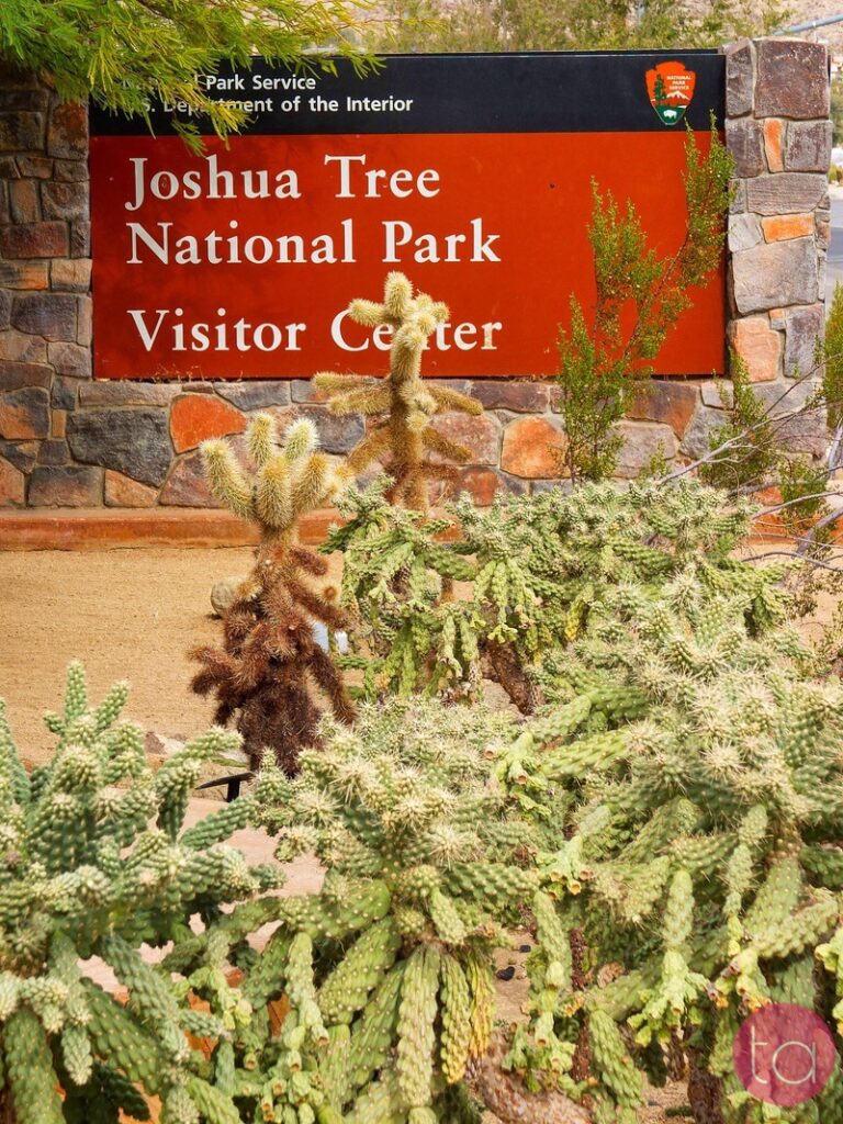 A Day Trip to Joshua Tree National Park