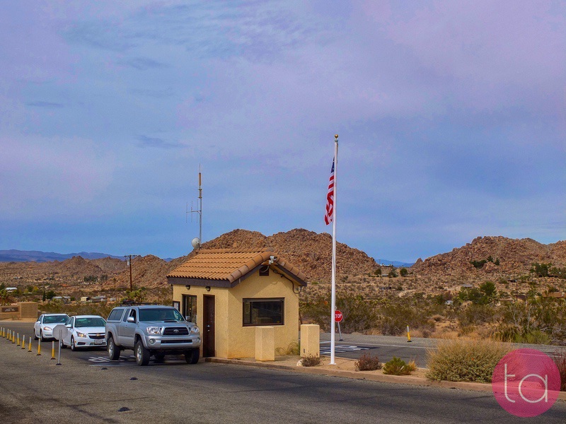 A Day Trip to Joshua Tree National Park